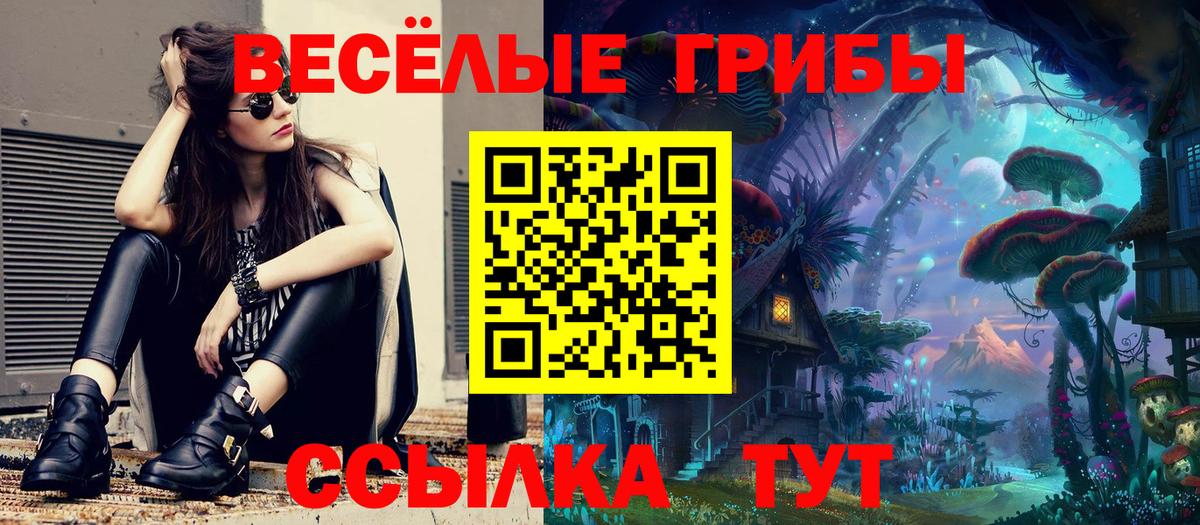 Галлюциногенные грибы мицелий  Псилоцибиновые грибы прущие грибы  Вход с VPN  Нефтекумск 